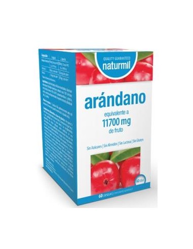 ARANDANO 90mg. 60cap. DIETMED