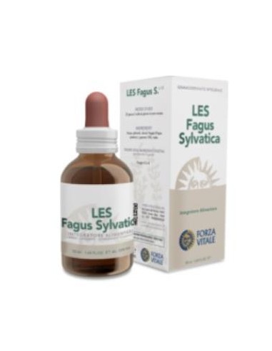 LES FAGUS SYLVATICA haya 50ml. FORZA VITALE