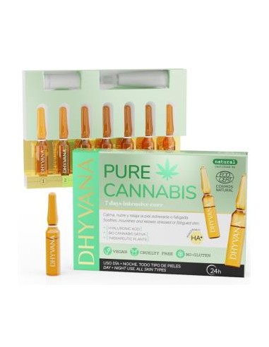 PURE CANNABIS 7amp. DHYVANA