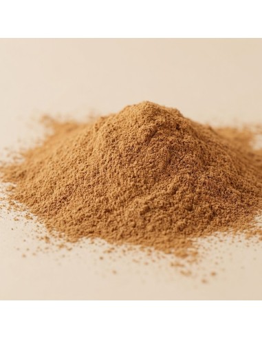 Canela de Ceylán en Polvo 250 g Ecológica | Cinnamomum Verum de Madagascar | Canela Verdadera Natural